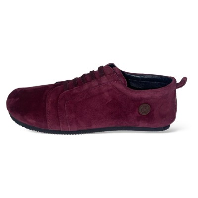 2-Day Plus Transicion