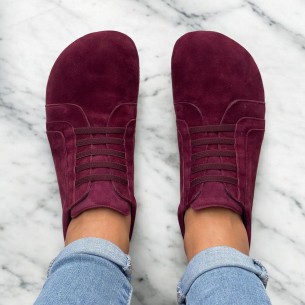 2-Day Plus Transicion 2